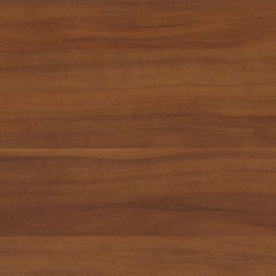 3209 C Сенегальское карите