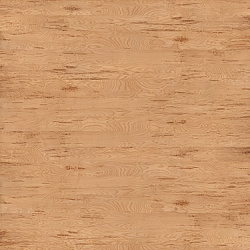 9efd765d5cbc001d8b478b97f5edc3f1