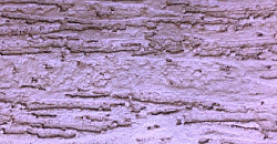 «Короед», «Кора дуба»