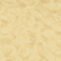 1348 N Корень желтый