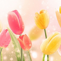 0 Тюльпаны (FG18)